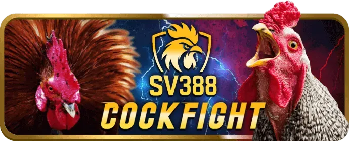 Cấp độ VIP Kim Cương bay365 apk